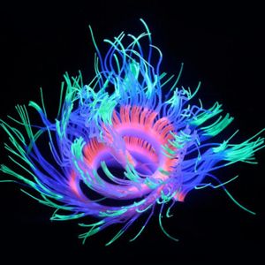 Korallen-Aquarium-Landschaftsbau-Ornamente, Silikon-Simulation, weicher Körper, Korallenvielfalt, Anemone, fluoreszierende Aquarium-Dekoration 231201