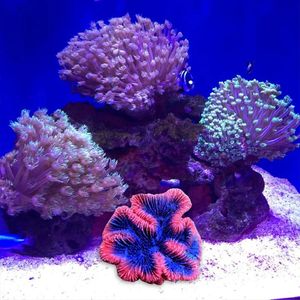 Coral Aquarium Artificial Coral Plant Resin Sea Plant Ornament Simulation Non Toxic Freshwater Saltwater Fish Tank Decor 231201