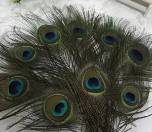 Top Natural Peacock Feather 23-30 cm DIY-Kleidungsdekoration Gefiederhandwerk