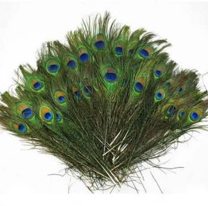 天然の孔雀の羽23-30cm DIY衣類装飾羽毛工芸