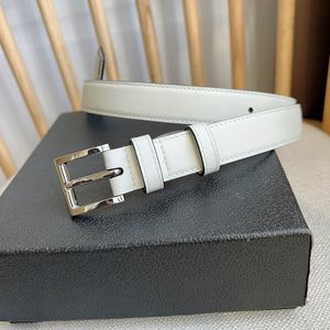 Designer belt for women fashion silver needle Buckle Belt Thin Waist Belts Womens Width 2.5CM Genuine Leather Cowhide 3 Color Optional with box