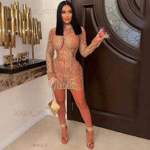 Abiti sexy urbani paillettes Sheer Mesh Mini Party Dress Women Sexy Sexy Through Mall Neck Feathers Long Bodycon Night Clubwear Female Vestidos T231202