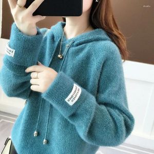 Women's Sweaters Sweater Imitation Mink Down Chenille Pullover Sweatshirt Autumn Knit Hooded