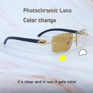 Fotokromik lensler güneş gözlüğü buzlu carter lüks rhinestones renk değişimi elmas kesim 4 mevsim gözlükleri iki renk güneş gözlüğü siyah bufalo boynuz güneş gözlükleri