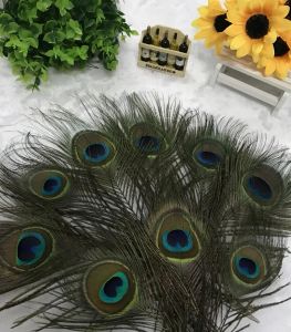 Fashion Natural Peacock Feather 23-30cm DIY Clothing Decoration Plumage Crafts