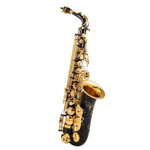 EB -mässing Alto Saxofonbörjarstudent Sax med fall, munstycke, w/case