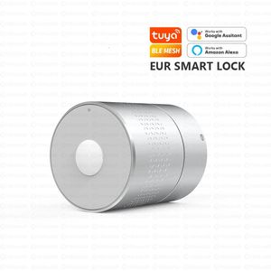 Fechaduras de porta Euro Tuya desbloqueio remoto seguro interior inteligente bloqueio de impressão digital sem cilindro inteligente para Woden 231202