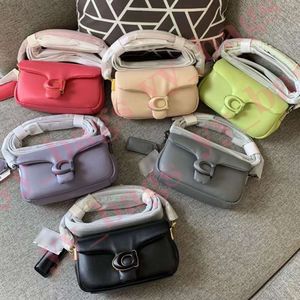 10A 2023 C0ah tabby pillow soft cloud Shoulder bag Designer Crossbody Bag Black Grey Cream Pink Cross body Soft Bag Mini tabby pillow 26cm women's purse