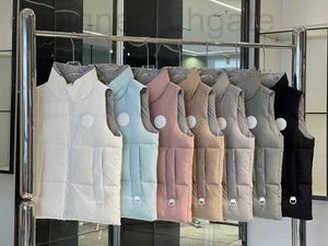 Coletes masculinos designer 2023 inverno novo grande ganso glaciar rótulo branco unisex para baixo colete dopamina cápsula jjrf