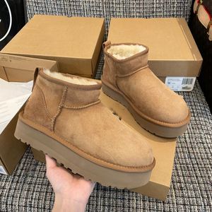 Tazz Tasman Terlik Kadın Kestane Kürk Slaytlar Disque Sheepsin Klasik Katırlar Ultra Mini Tazz Platform Boot Slip-On Ayakkabılar Süet Siyah Ren Geyiği Bootes