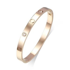 Flytta armband damer Rose Gold Silver Lady Bangle Titanium Steel skruvmejsel Diamond270Z