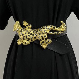 Andra modetillbehör Kvinnor Runway Fashion äkta läder Spoted Leopard Cummerbunds Female Dress Corsets Waistband Belts Decoration Belt 231205