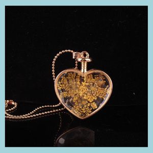 Pendant Necklaces Flower Necklace Heart Pendants Aromatherapy Pendant Necklaces Jewelry Dry Flowers Per Vial Bottle Drop Delivery Jewe Dh4Vz