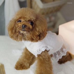 Dog Apparel Small Lace Wedding Dress Winter Girl Cat Clothes Skirt Chihuahua Yorkshire Pomeranian Poodle Bichon Pet Puppy Clothing