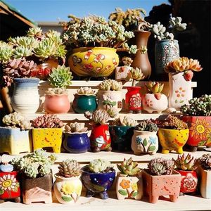 Vaso de flores de cerâmica, cactos suculentos, plantador de jardim, decoração para casa ao ar livre, peitoril de janela y200723269u