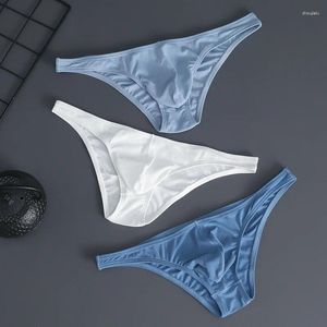 UNDANTS Erkek Üçgen Pantolon iç çamaşırı düşük bel, seksi düz renk ipek pürüzsüz küçük g-string
