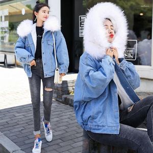 Outdoor Jackets Y9551 Style Ultra Large Fur Collar Hooded Faux Cowboy Cotton-padded Clothes Women's Thick Coat