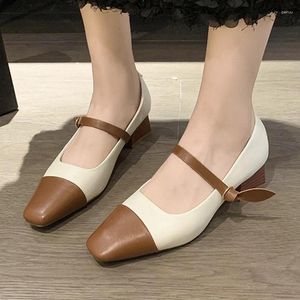 Sukienka butów Kobiety Mary Jane High Heels moda jesienna sukienki imprezowe płytkie 2024 Chunky Walking Eleganckie pompki Zapatos