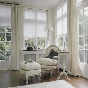 Curtain Easyfix Plisse Pleated Blinds Window Shades (Top Down Bottom Up) Customize Sizes Finished Product