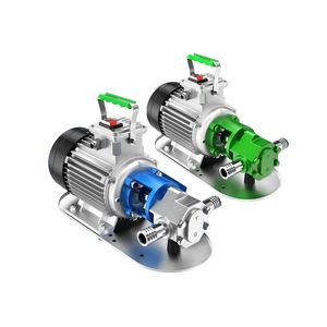 220 V/380 V 370 W selbstansaugende Edelstahl-Ölpumpengetriebe, hochviskose Motoröl-Diesel-Speiseöl-Hydraulikölpumpe