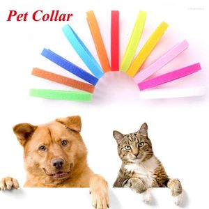 Coleiras para cães, 12 peças, coloridas, para identificação de filhotes, filhotes, filhotes, faixas de identificação para cães pequenos e gatos