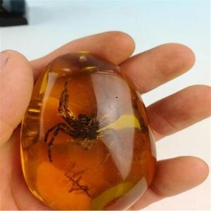 Rzadki bursztynowy pająk Amber Spider Pendant339E