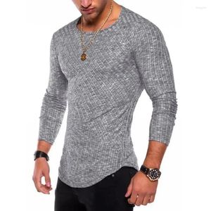 Ternos masculinos a2561 primavera homens manga longa t camisa casual em torno do pescoço listrado elástico ajuste engraçado streetwear sólido tshirt hip hop topos