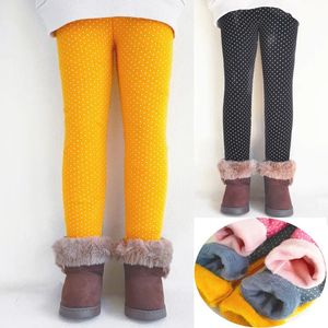 Pantaloni Abbigliamento per bambini Inverno Leggings per ragazze Stampa a pois Pantaloni in caldo pile di cotone Bambini Collant autunnali Ragazze Plus Pantaloni addensati in velluto 231206