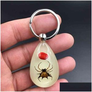 Keychains Lanyards Fashion Amber Harts Key Ring Real Worm Scorpion Night Owl Gift Wholesale Drop Delivery Accessories Dhya0