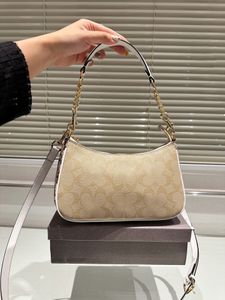 Designer Underarm Small Handbags Women Shoulder Bag Soft Teri Hobo CO Half-moon Ladies Baguette Chain Strap Croissant Bags