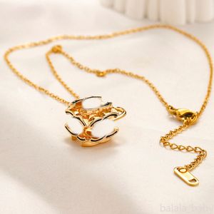 Designer halsband guldpläterad c-bokstäver hänge halsband kedja choker märke halsband för kvinnor bröllop fest gåva smycken par