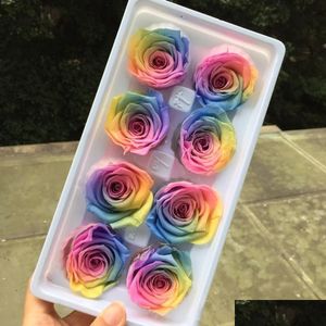 Getrocknete Blumen der Klasse A, konservierte Regenbogen-Rosenköpfe, Eternelle-Rosen für Hochzeitsfeier, Heimdekoration, Zubehör, DIY-Geschenkbox, Gefallen Y Dhwvr