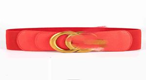 Cinture cintura di design Moda classica lettera elastico in vita copertura gonna multicolore ampia donna1894299
