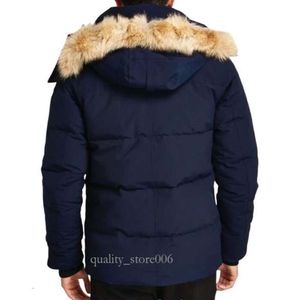 Pufferjacken Herren Designer Real Coyote Fur Outdoor Wyndham Windjacke Jassen Oberbekleidung Mit Kapuze Fourrure Manteau Daunenjacke Mantel Hiver 829