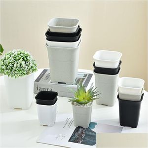 Vasi per fioriere quadrati Vaso versatile per la casa Fiore di plastica per orticoltura a vita alta Nero Grigio Bianco opaco Per scopi succulenti Drop Del Otife