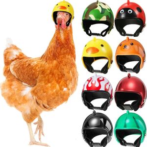 Novos suprimentos para animais pequenos 1 peça capacete de frango pequeno animal de estimação chapéu duro pássaro codorna pombo chapéu capacete de pássaro para animais de estimação capacete de personagem de desenho animado faça você mesmo suprimentos para animais de estimação