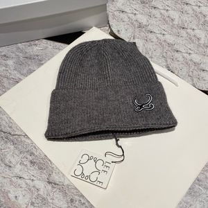 Embroidery Knitted Beanie Luxury Solid Winter Women's Hats Coupls Hat Christmas Accessories