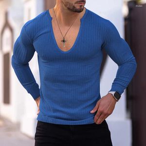 Men's Polos Cross Border Trend Spring And Autumn Deep V-neck Solid Color Knitted Long Sleeved Shirt