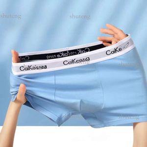 Kvinnors trosor Kvinnor Boyshorts Kvinnliga säkerhet Trosor Girls Shorts Fashion Boxer Underwear Lady Panties Underpants Girls Briefs 780 101 2