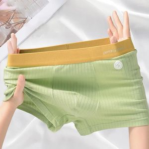 UNDUPTS MEN PANTIES BOXER MENS iç çamaşırı erkek pamuk boksörleri seksi rahat nefes alabilen moda büyük boy boksörler l-5xl