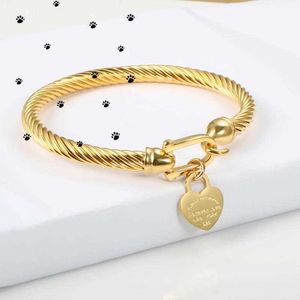 Tiffanylris Titanium Steel Bangle Cable Wire Color Love Heart Charm Bracelet with Hook Closure for Women Men Wedding JewelryOK8C