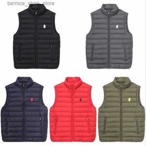 Gilets pour hommes Polo hommes gilets col vertical vers le bas gilets chauds sans manches poney Hip Hop vestes de mode manteaux d'extérieur S-XXXL s0Yj # Q231208