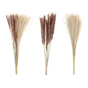 Flores decorativas 10/30 haste natural seca pampas grama casa decorações de festa de casamento phragmites communis buquês de flores boho decorações