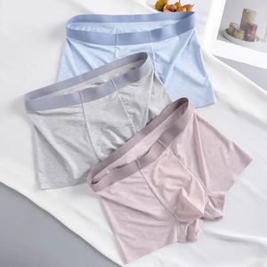 Cuecas Pure Color Fio Sem Costura Modal Boxer Cueca Confortável Arquivo De Seda Uma obrigação para homem resistente artefato