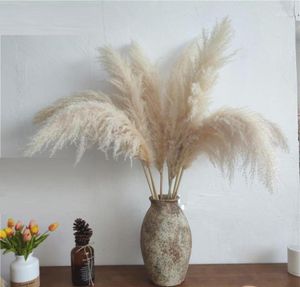 80cm Nagaho Natural Reed Dried Flower Big Pampas Grass Bouquet Wedding Flower Ceremony Decoration Modern Home Decoration11484707