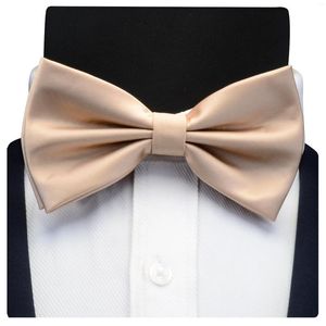 Bow Ties RBOCOMen Fashion Bowtie Party Wedding Tie For Boys Girls Pink Green Color Bowknot Wholesale Accessories Butterfly