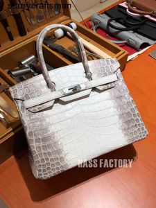 Himalaya krokodil handtas Tote tassen handgemaakte aangepaste platina tas Birkin25cm Himalaya Nijl krokodillenleer draagbare damestas HBN8