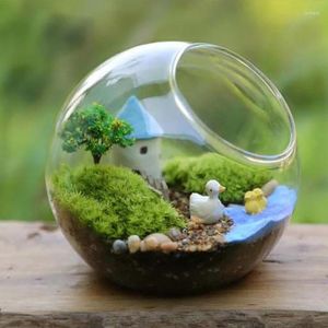 Decorative Flowers Natural Eternal Life Moss Artificial Plants Dried Grass Flower Fake DIY Home Wall Decoration Mini Garden Landscape Gift