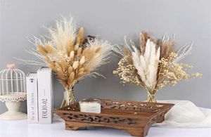1 Bunch Real Natural Dried Flower Bouquet Pampas Grass Gypsophila Plants DIY Home Wedding Party Decor Festival Ceremony21255175731