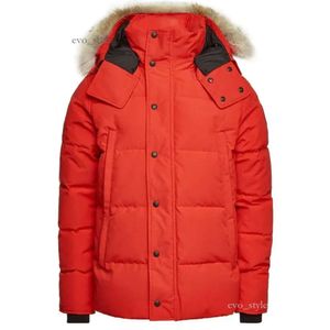 Najlepsza marka Big Wolf Fur Men's Down Parma Winter Jacket Arctic Black Green Red Outdoor Bluies Doudoune Manteau Coats 813